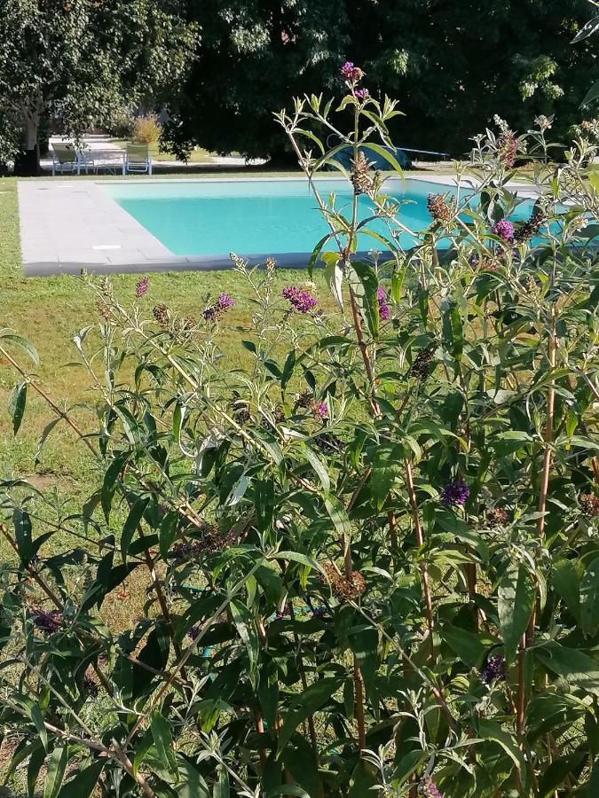 Il Nido Villa Lucca Luaran gambar