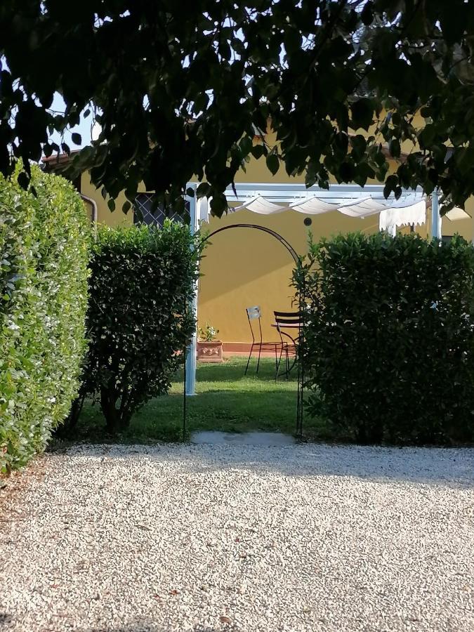 Il Nido Villa Lucca Luaran gambar