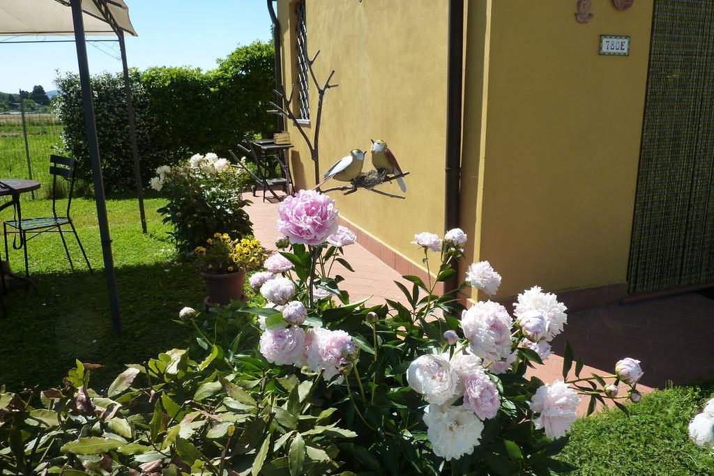 Il Nido Villa Lucca Bilik gambar