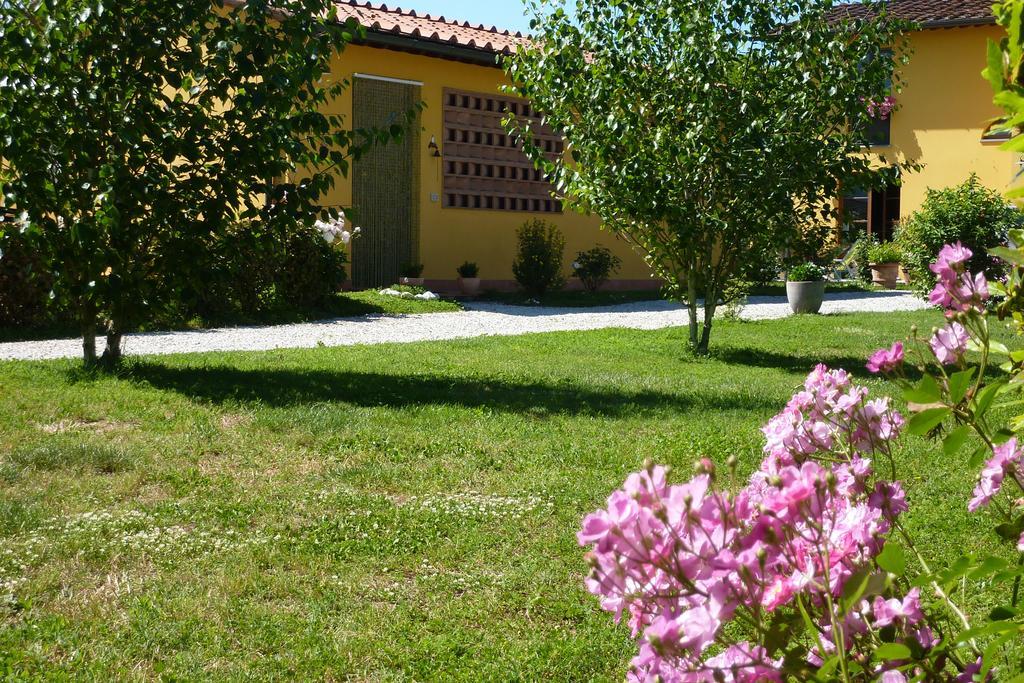 Il Nido Villa Lucca Bilik gambar