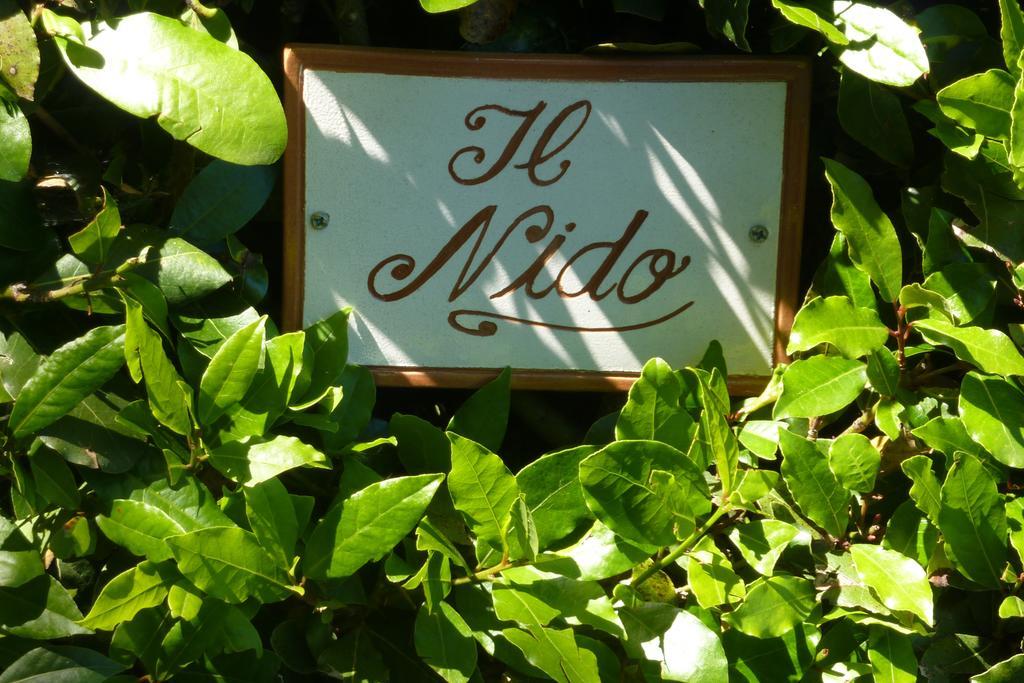 Il Nido Villa Lucca Bilik gambar