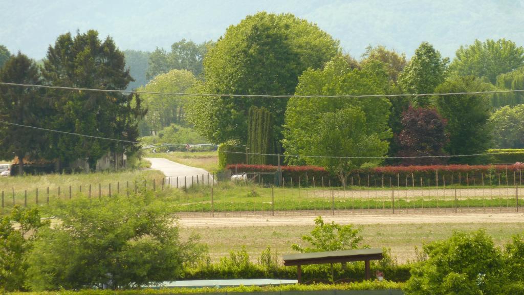 Il Nido Villa Lucca Luaran gambar