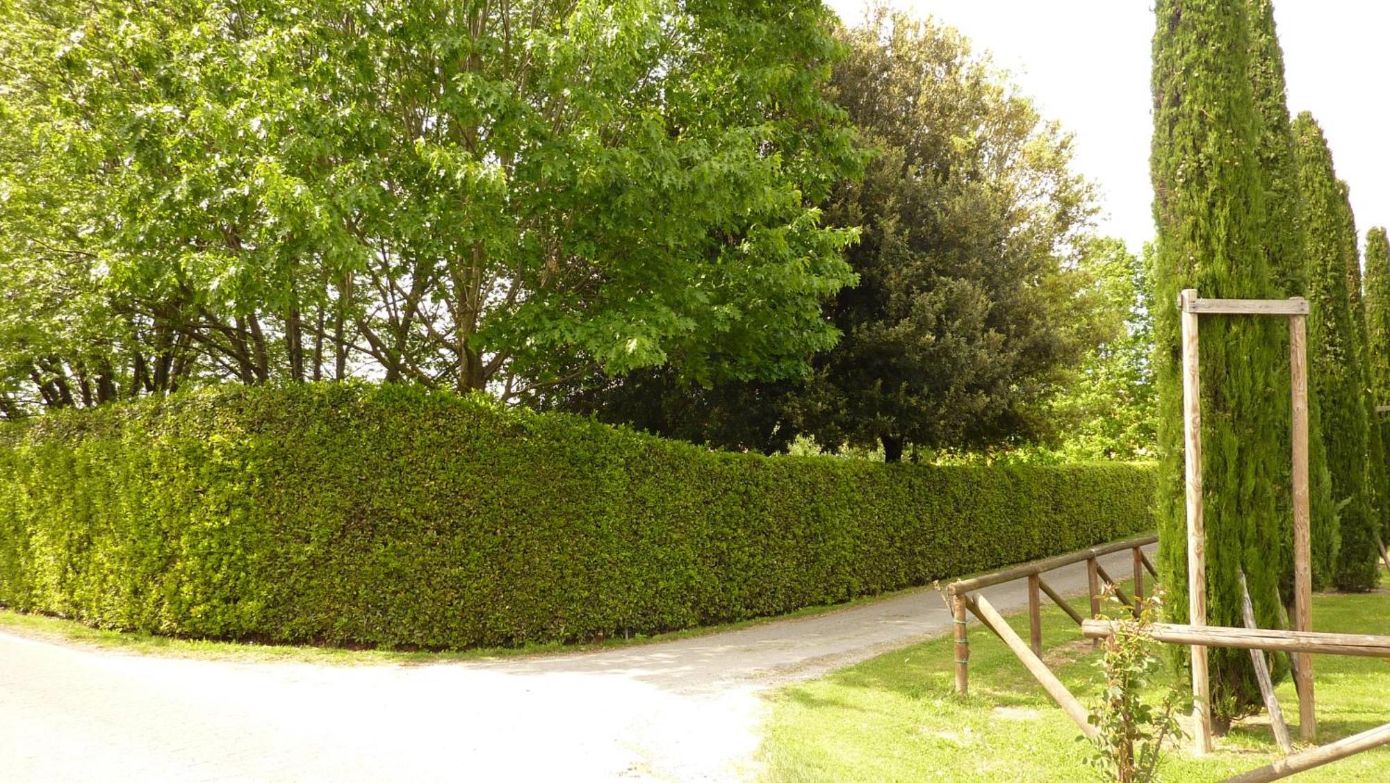 Il Nido Villa Lucca Luaran gambar