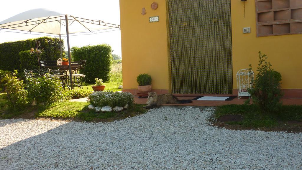 Il Nido Villa Lucca Luaran gambar