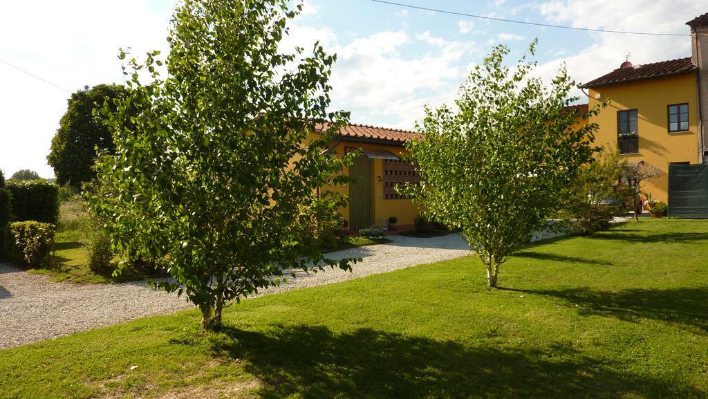 Il Nido Villa Lucca Luaran gambar
