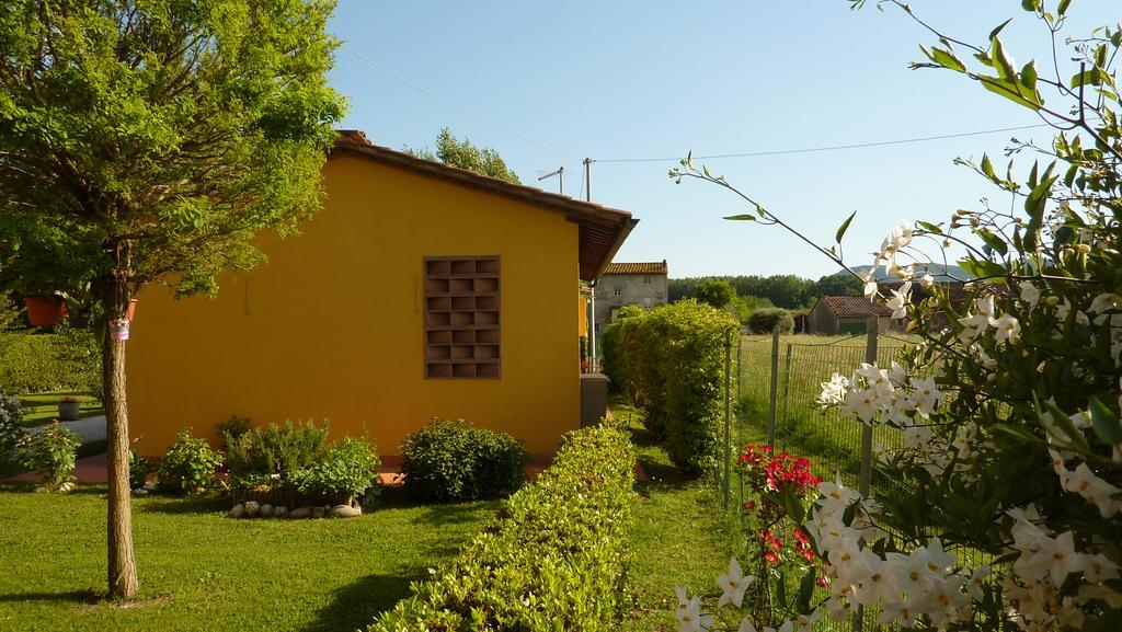 Il Nido Villa Lucca Luaran gambar
