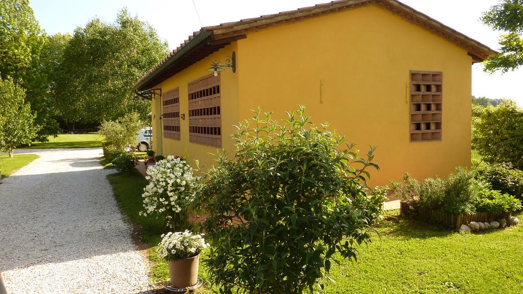 Il Nido Villa Lucca Luaran gambar